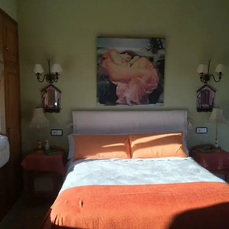 Anassa *
